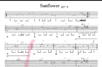 ̫Sunflowerָ